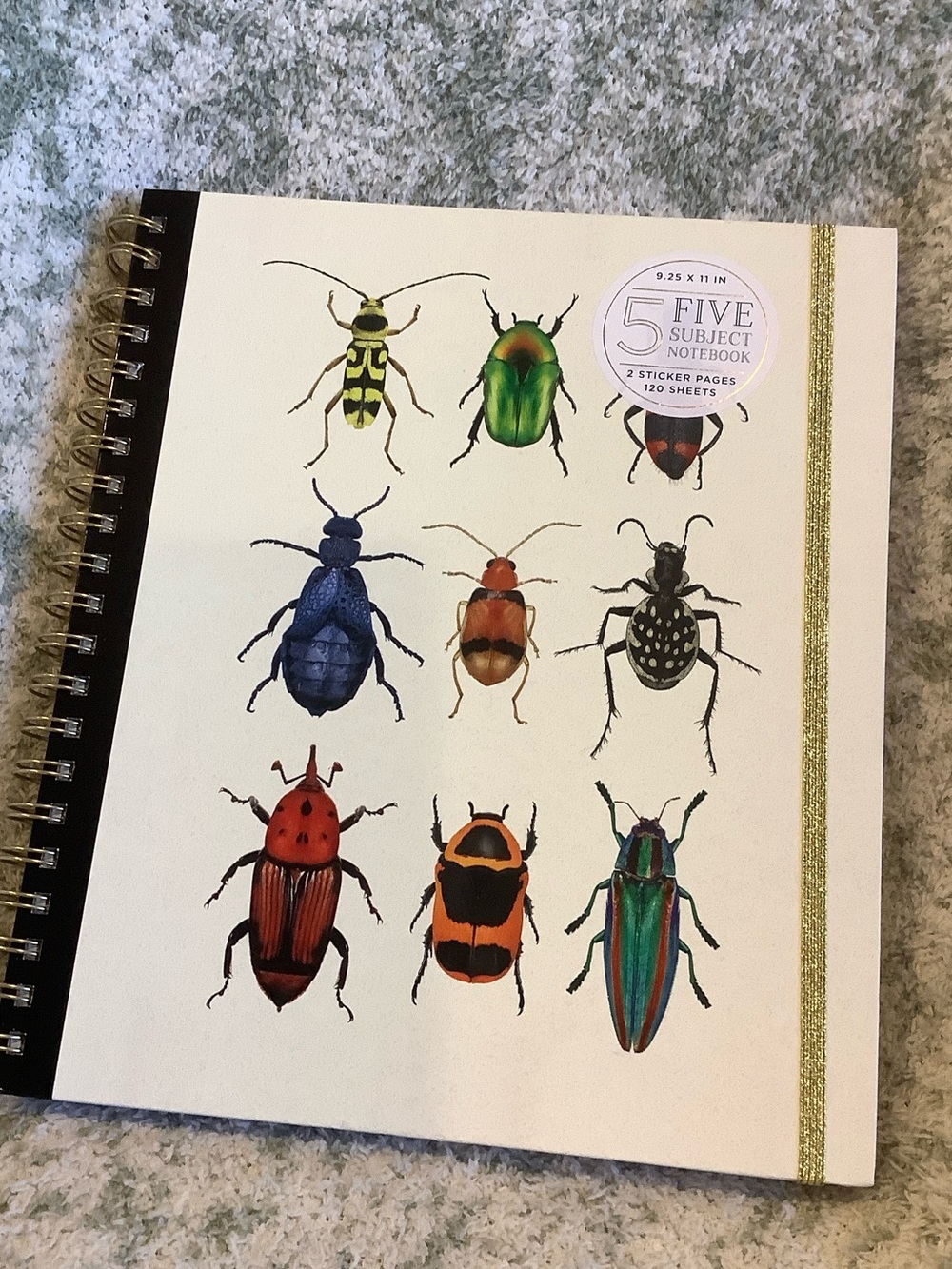 James Burke Collection Colorful Bugs Five Subject Notebook NWT 9.25x11” 120 page